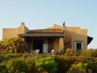 Sardegna Teresa Galura